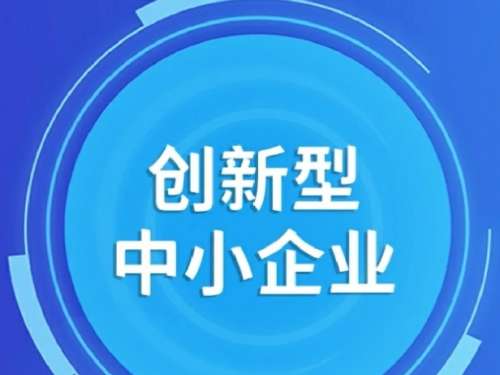 公司入选 2025 年第三季度创新型中小企业名单